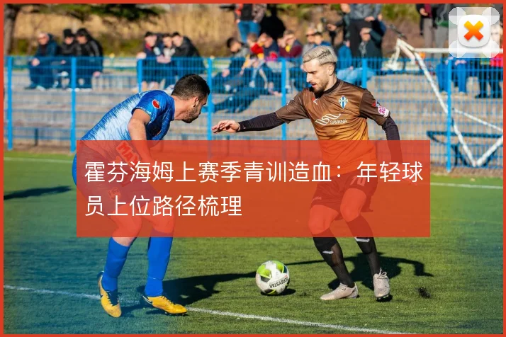 霍芬海姆上赛季青训造血：年轻球员上位路径梳理